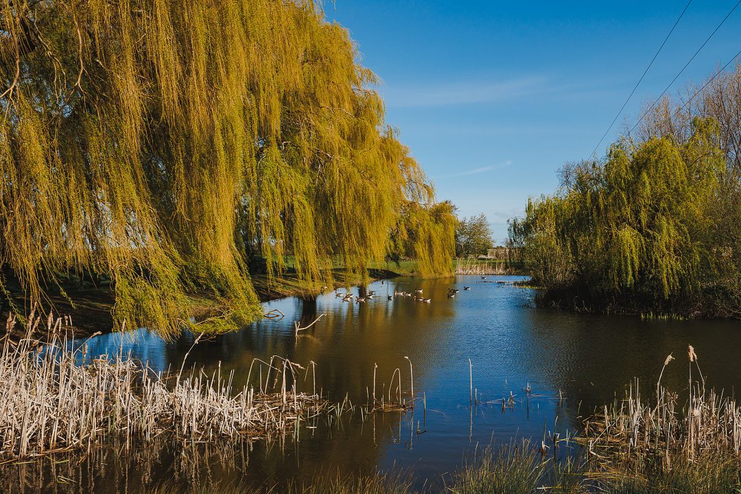 Loftsome Bridge Hotel