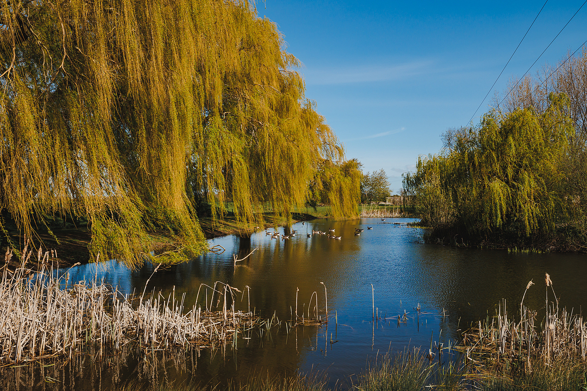 Loftsome Bridge Hotel