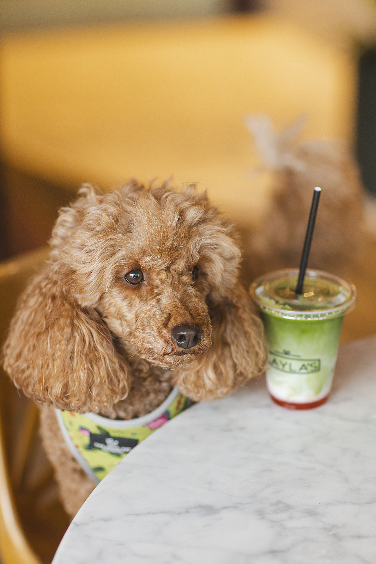 Manchester coffee rave